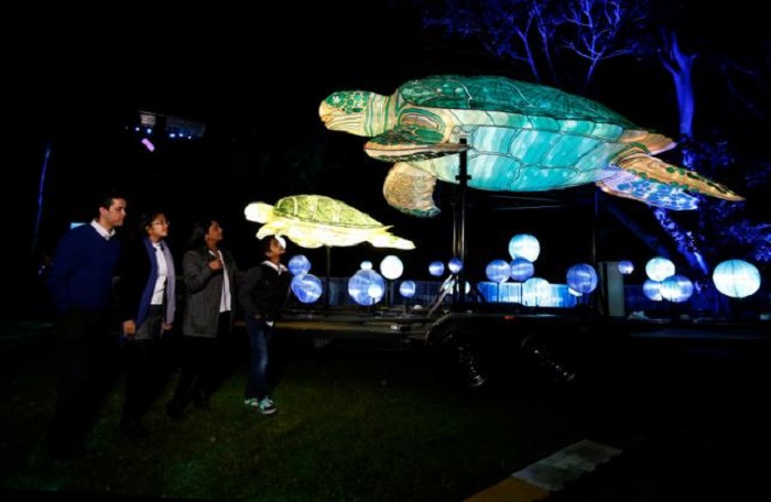 Tunnel of lights, animal lanterns illuminate Sydney festival